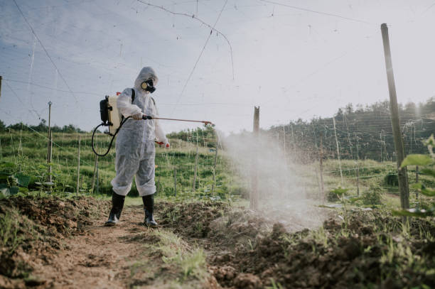 Best Best Pest Control Companies  in Red Lake, AZ